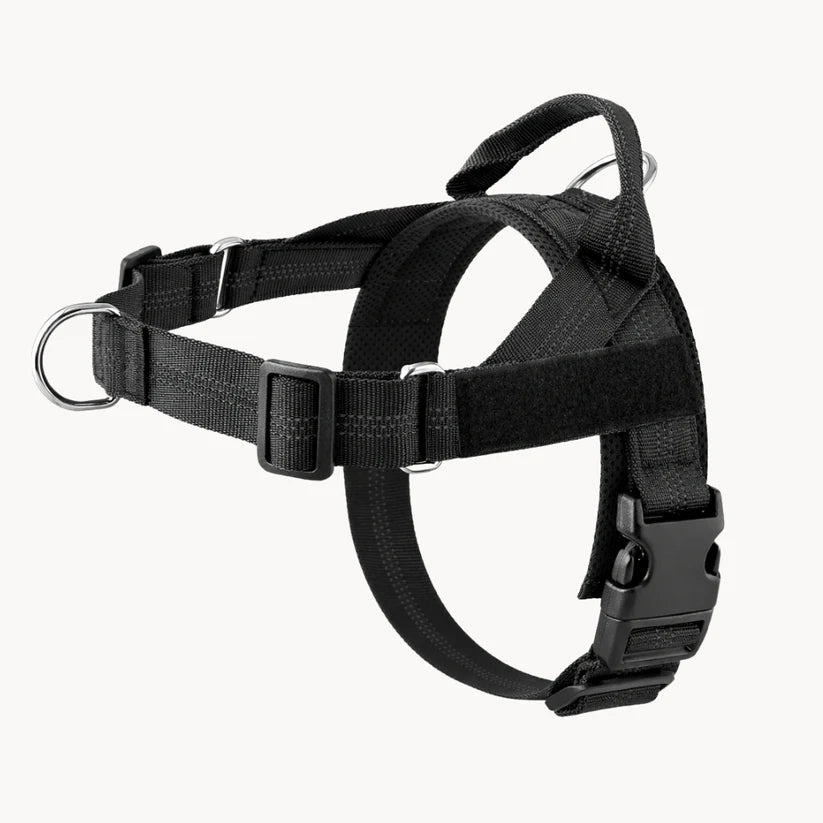 NordPaw  Harnais Anti-Traction pour Chien
