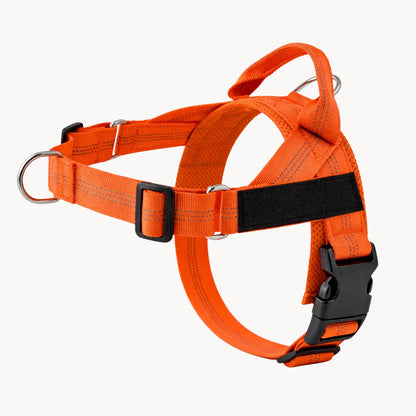 NordPaw  Harnais Anti-Traction pour Chien