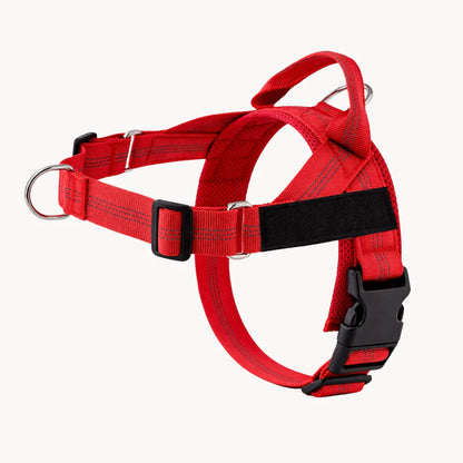NordPaw  Harnais Anti-Traction pour Chien