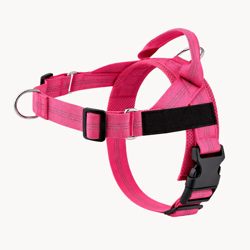 NordPaw  Harnais Anti-Traction pour Chien