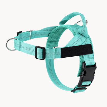 NordPaw  Harnais Anti-Traction pour Chien