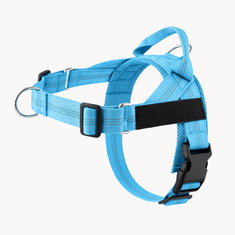 NordPaw  Harnais Anti-Traction pour Chien