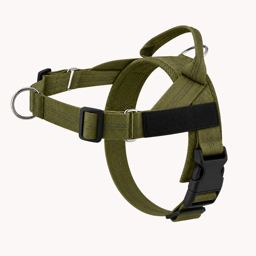 NordPaw  Harnais Anti-Traction pour Chien