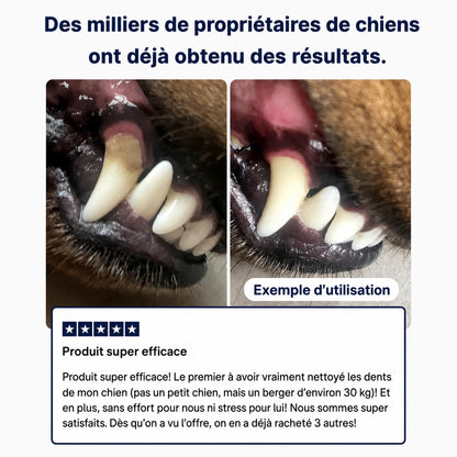 DogSmile - Haleine Fraîche