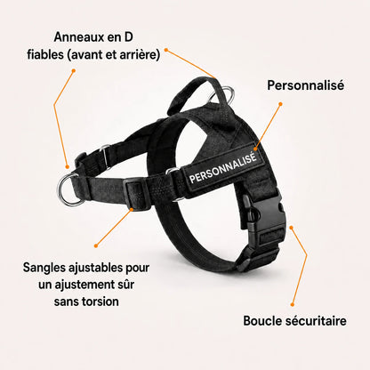 NordPaw  Harnais Anti-Traction pour Chien