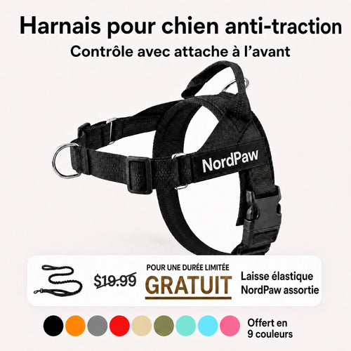 NordPaw  Harnais Anti-Traction pour Chien