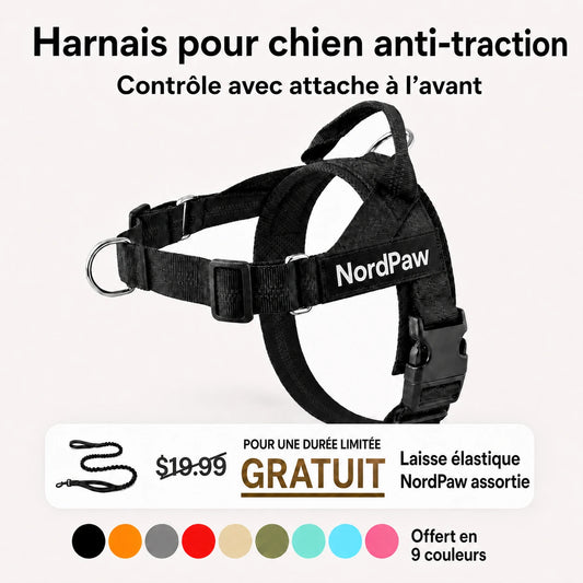 NordPaw  Harnais Anti-Traction pour Chien