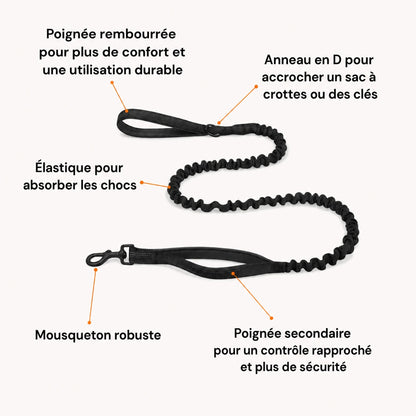 NordPaw  Harnais Anti-Traction pour Chien