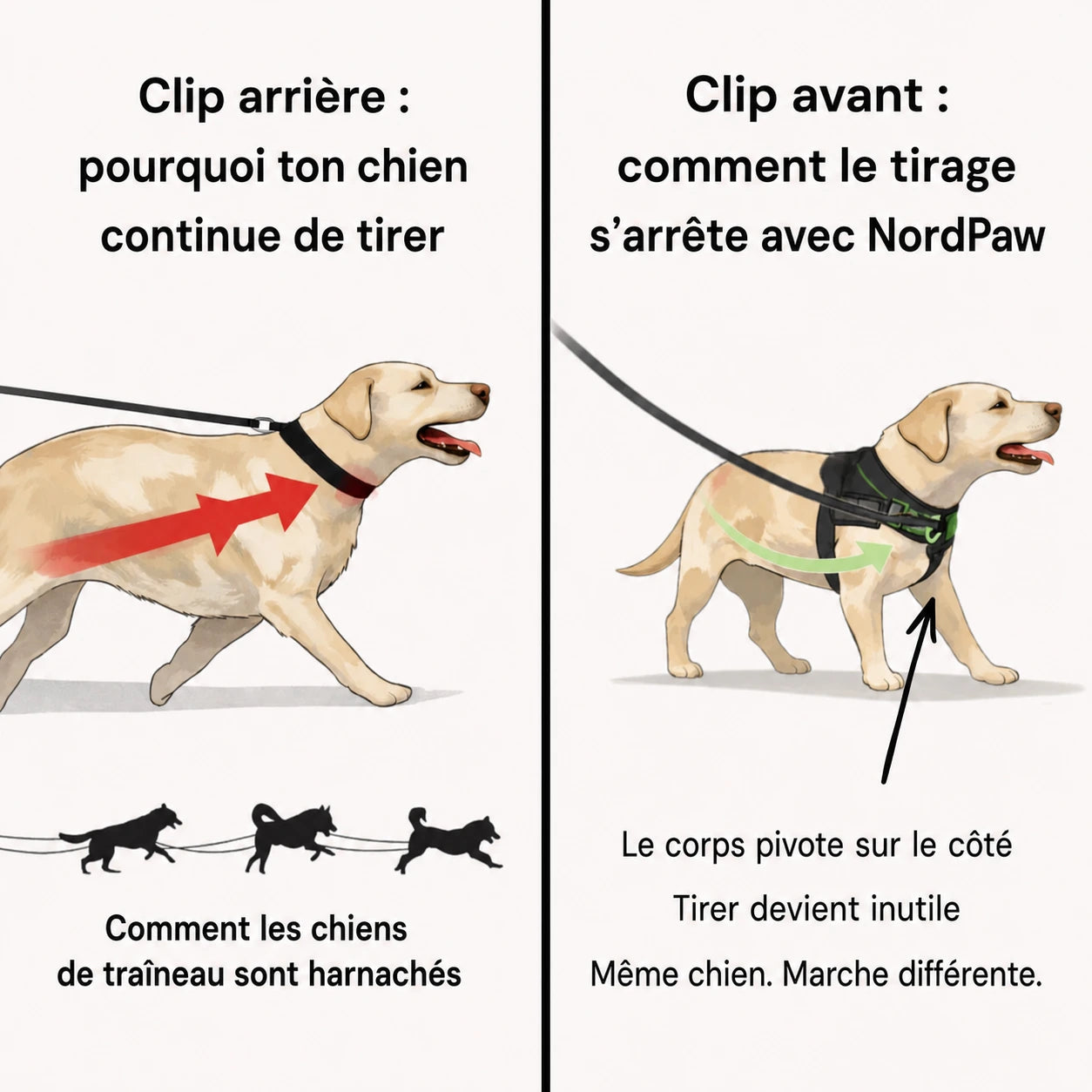 NordPaw  Harnais Anti-Traction pour Chien