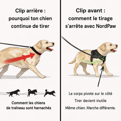 NordPaw  Harnais Anti-Traction pour Chien