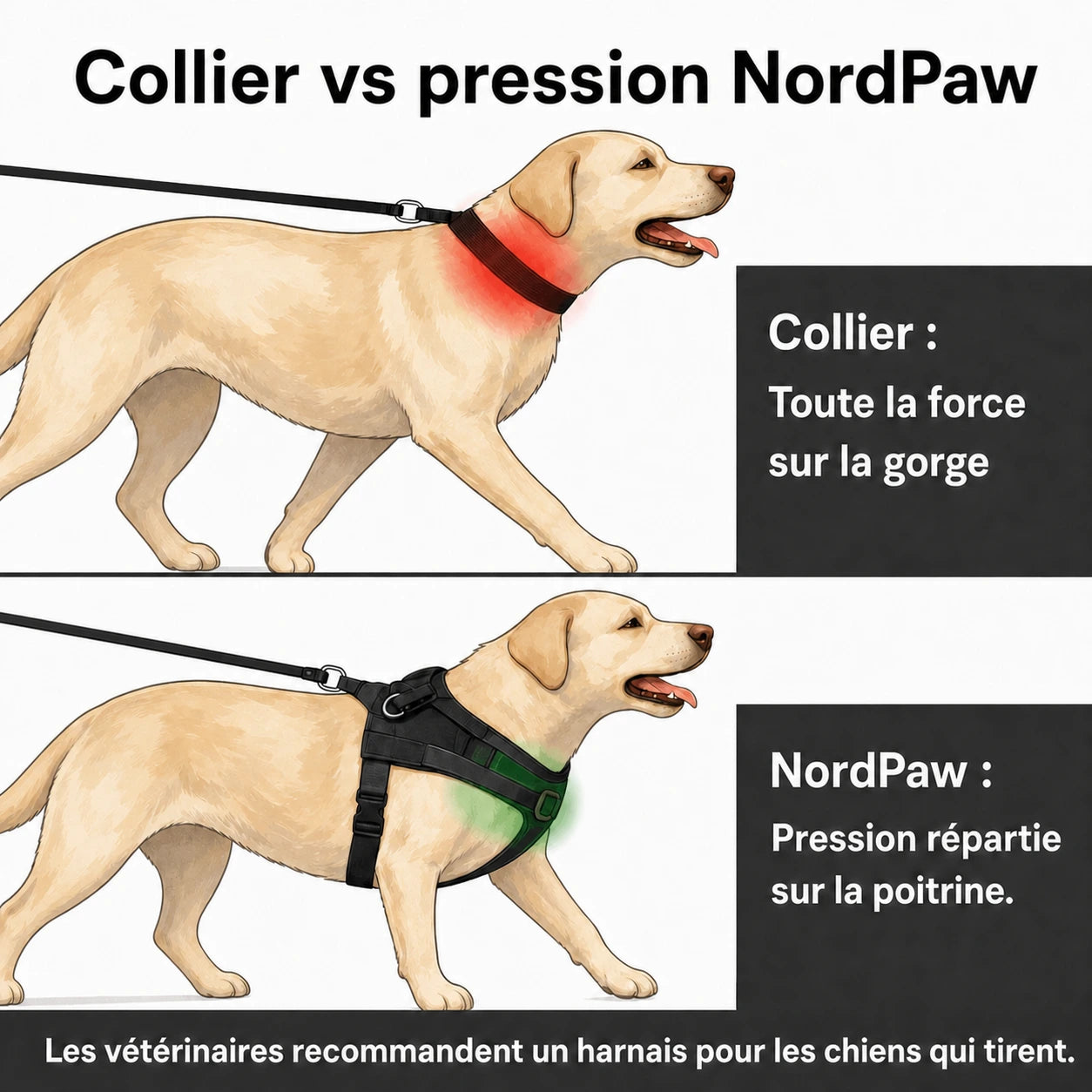 NordPaw  Harnais Anti-Traction pour Chien