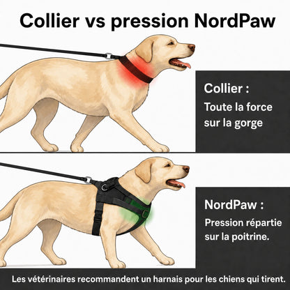 NordPaw  Harnais Anti-Traction pour Chien