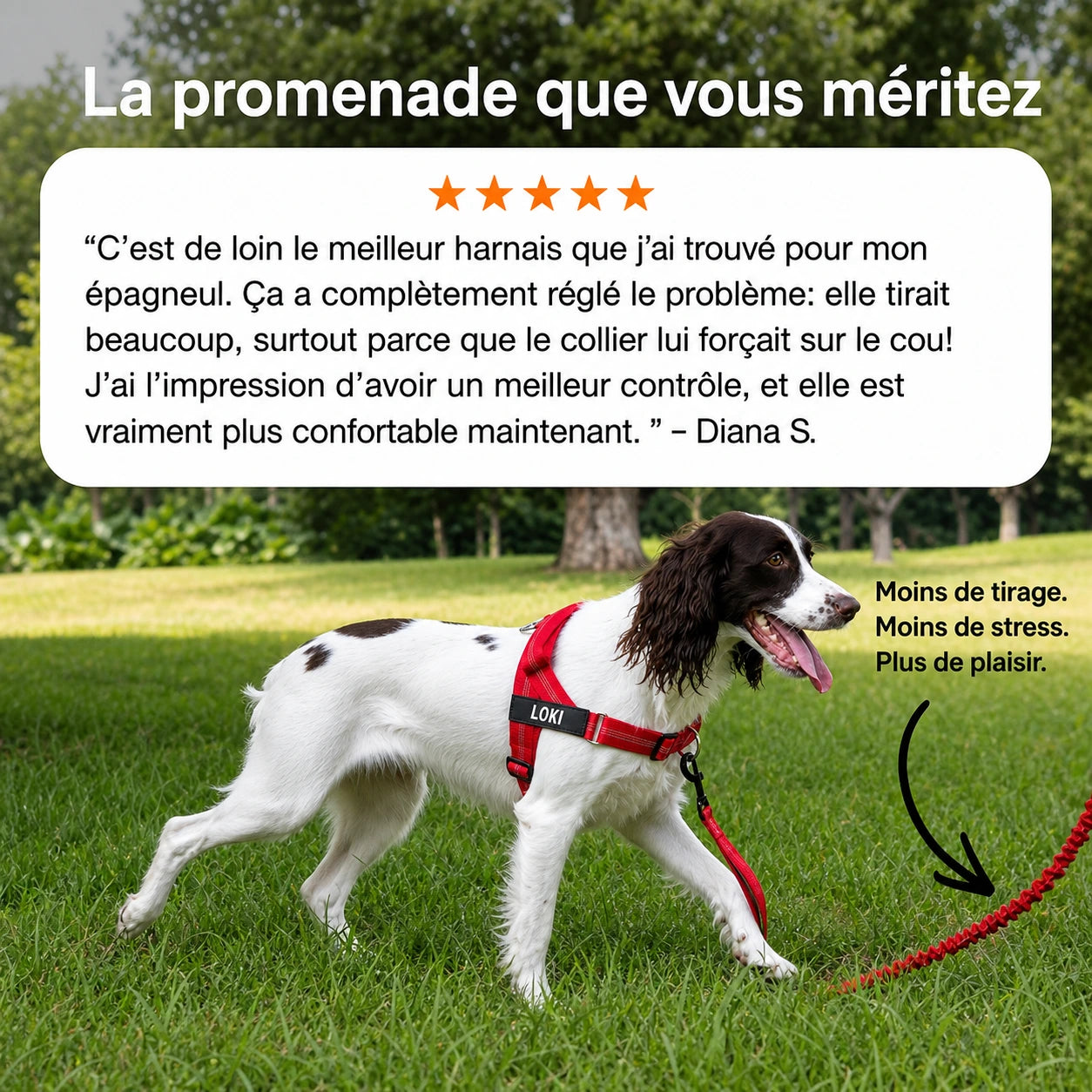 NordPaw  Harnais Anti-Traction pour Chien