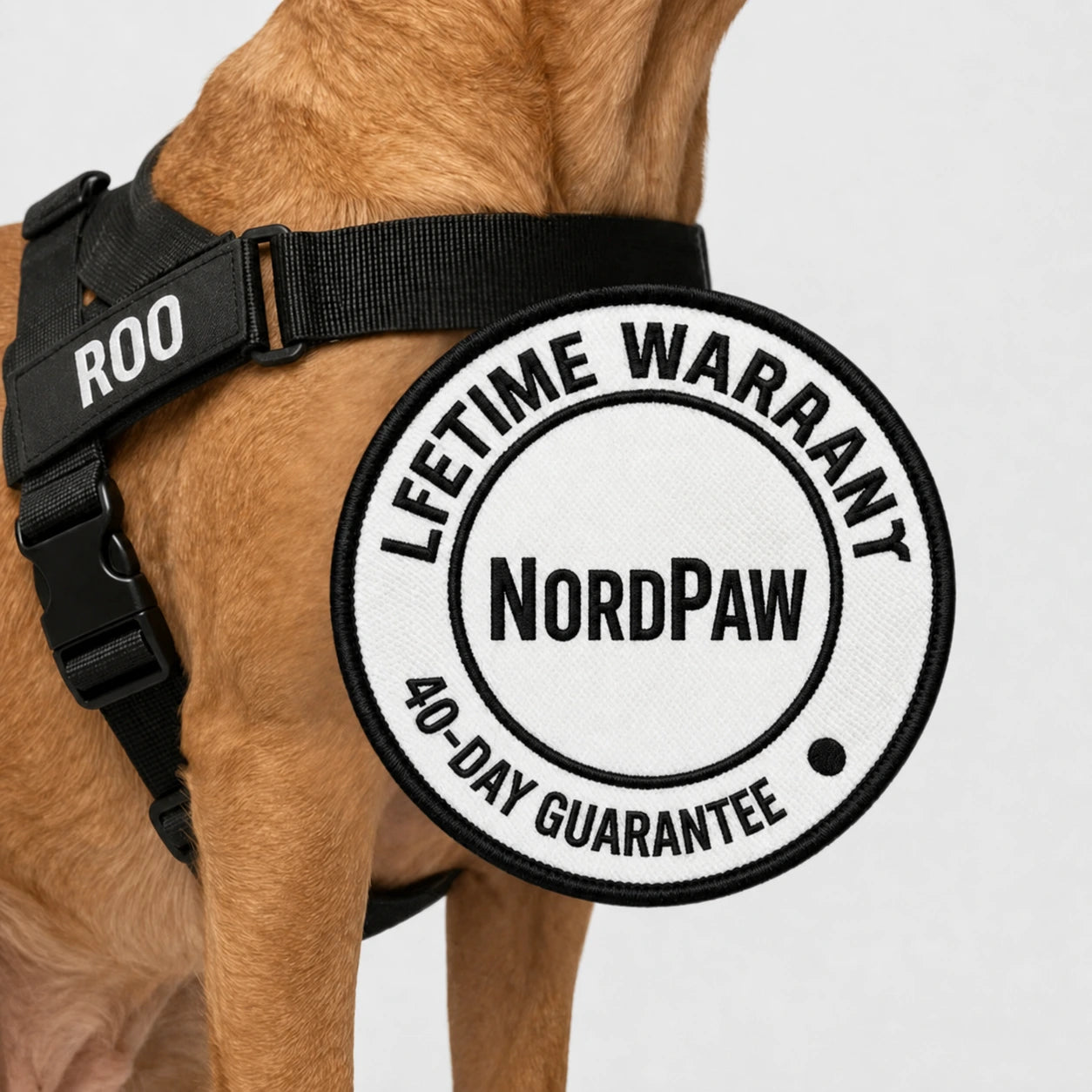 NordPaw  Harnais Anti-Traction pour Chien
