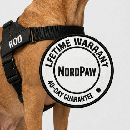 NordPaw  Harnais Anti-Traction pour Chien