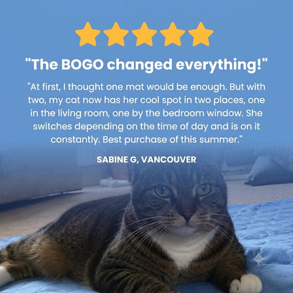 FrostPaw Cooling Mat for Cats