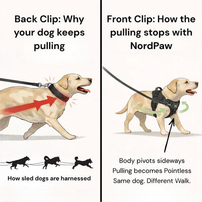 NordPaw Anti-Pulling Dog Harness